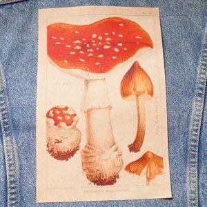 10" Fabric Iron On Back Patch Amanita Mushroom Cottagecore Botanical Applique